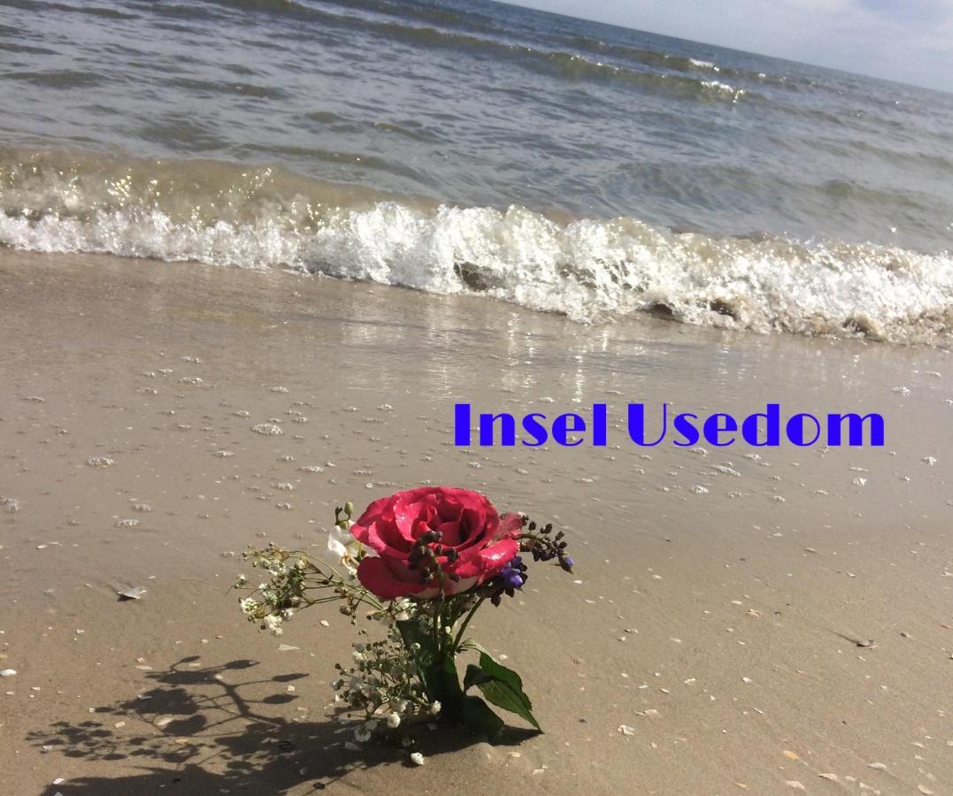 Ferienwohnung Mit Terrasse - Insel Usedom ทรัสเซนไฮเดอ ภายนอก รูปภาพ