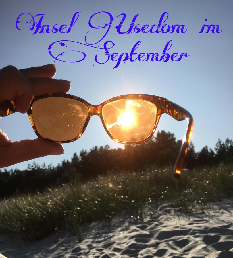 Ferienwohnung Mit Terrasse - Insel Usedom ทรัสเซนไฮเดอ ภายนอก รูปภาพ