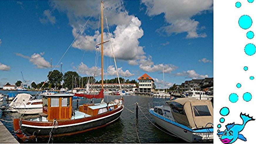Ferienwohnung Mit Terrasse - Insel Usedom ทรัสเซนไฮเดอ ภายนอก รูปภาพ