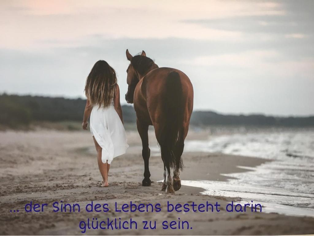 Ferienwohnung Mit Terrasse - Insel Usedom ทรัสเซนไฮเดอ ภายนอก รูปภาพ