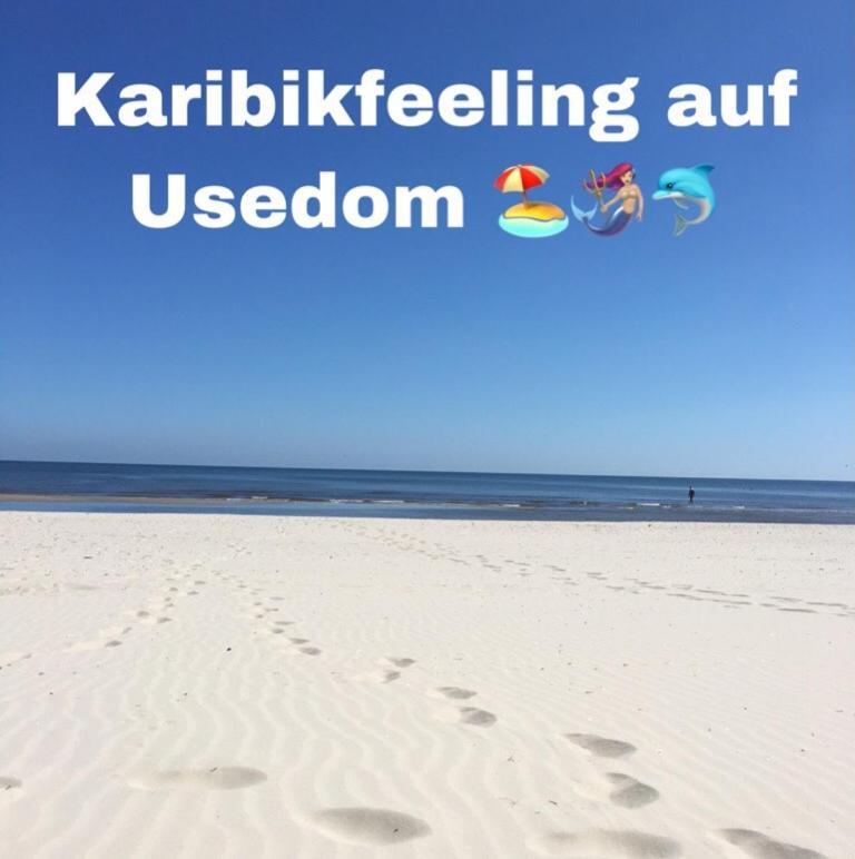 Ferienwohnung Mit Terrasse - Insel Usedom ทรัสเซนไฮเดอ ภายนอก รูปภาพ