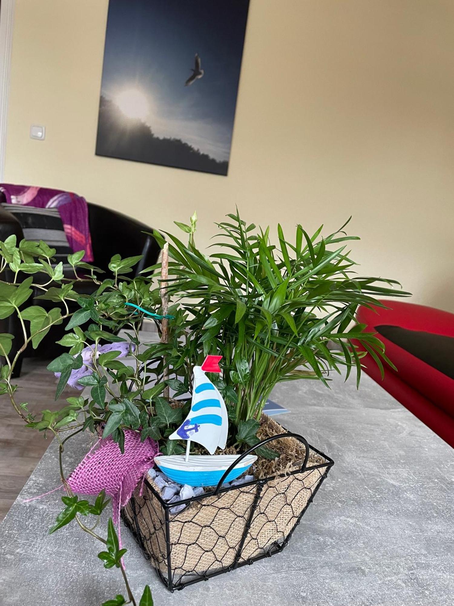 Ferienwohnung Mit Terrasse - Insel Usedom ทรัสเซนไฮเดอ ภายนอก รูปภาพ