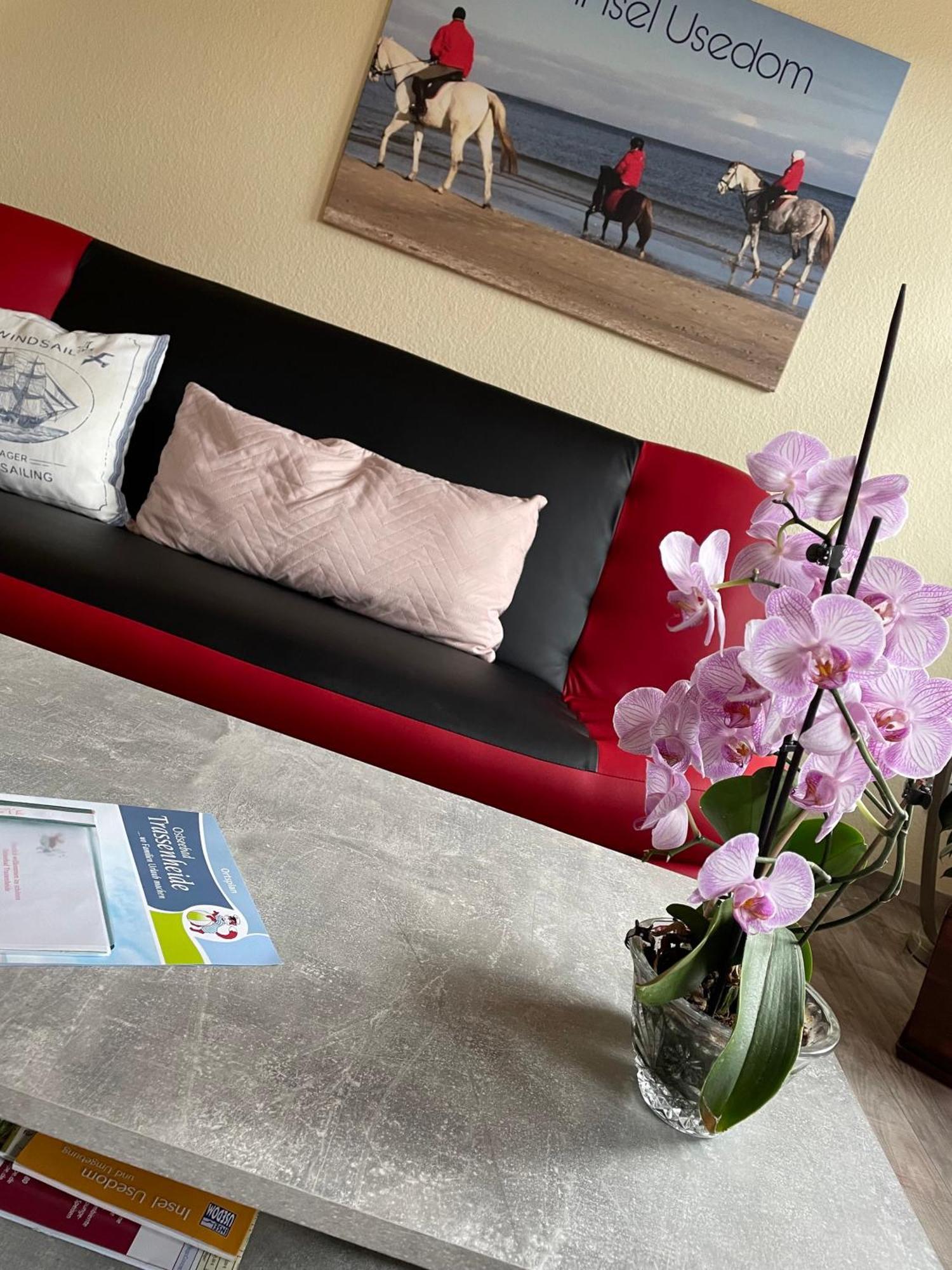 Ferienwohnung Mit Terrasse - Insel Usedom ทรัสเซนไฮเดอ ภายนอก รูปภาพ