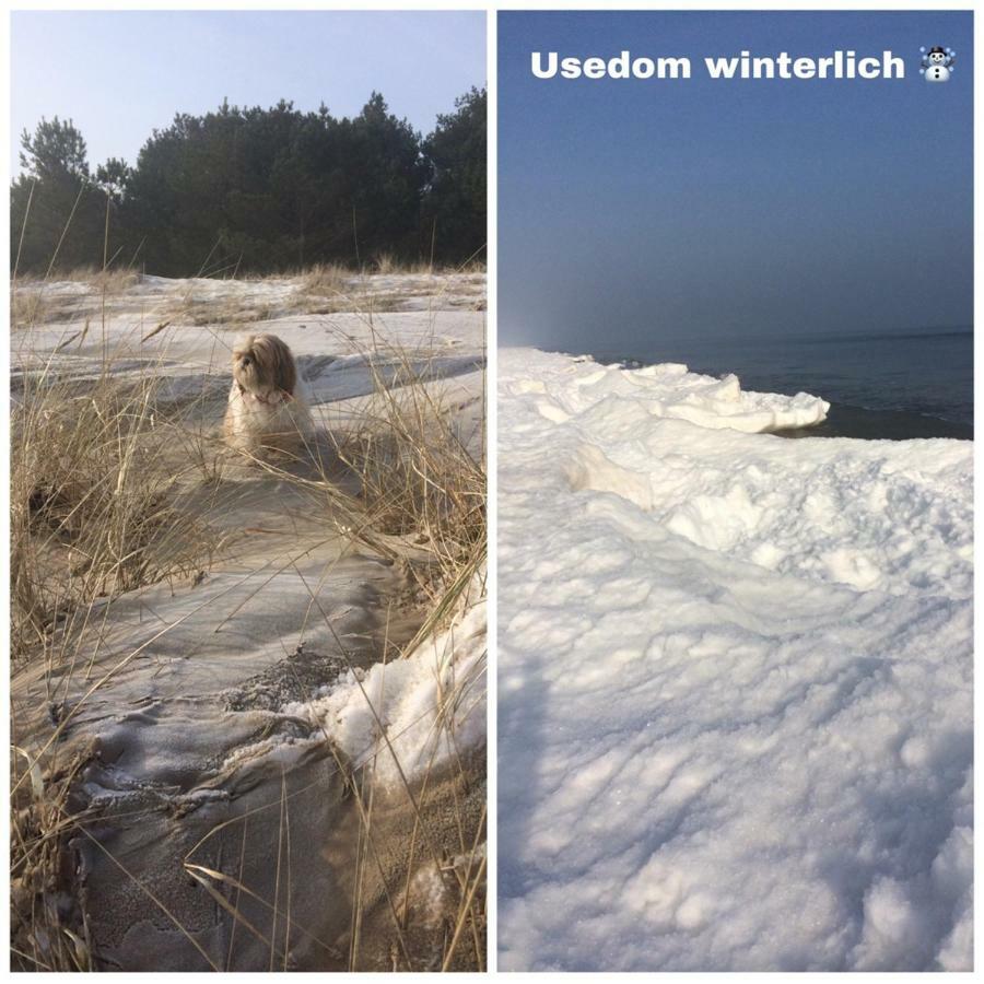 Ferienwohnung Mit Terrasse - Insel Usedom ทรัสเซนไฮเดอ ภายนอก รูปภาพ