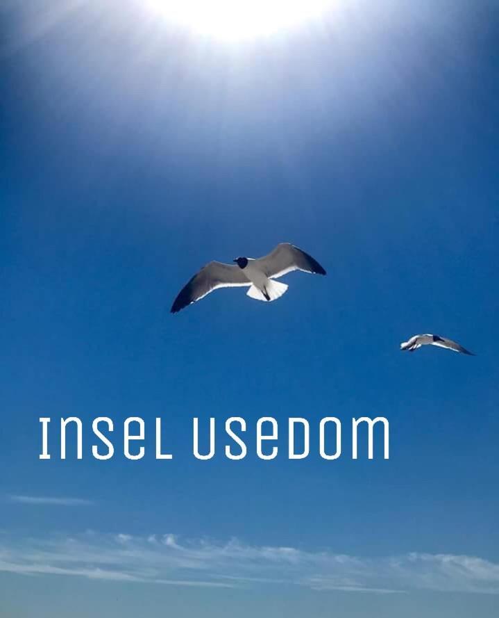 Ferienwohnung Mit Terrasse - Insel Usedom ทรัสเซนไฮเดอ ภายนอก รูปภาพ